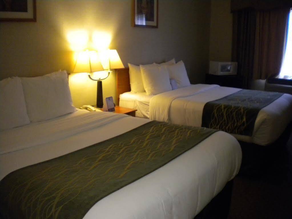 Comfort Inn Federal Way - Seattle Exterior foto